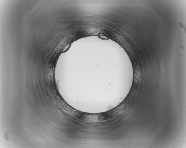 X0000101430473200807281005