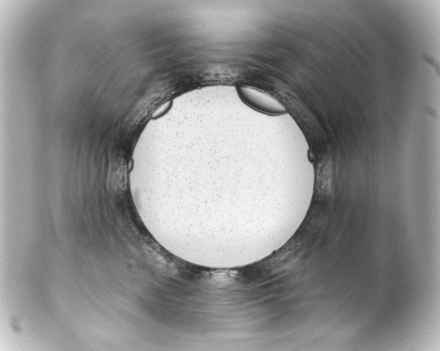 X0000101430474200807281005