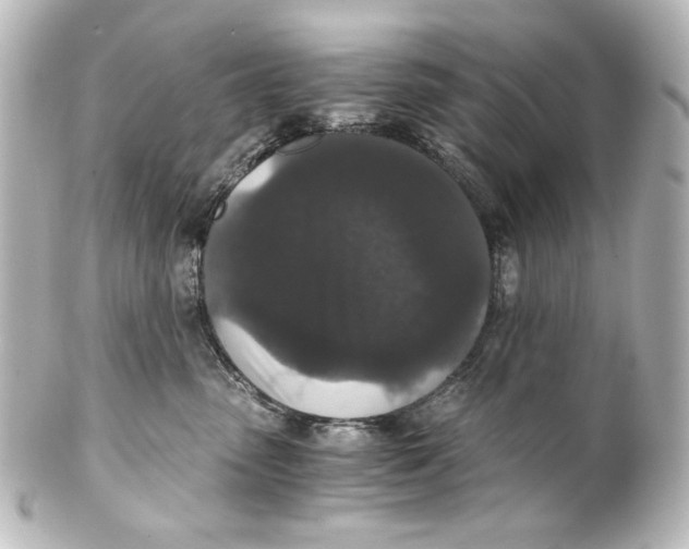 X0000101430475200807281005