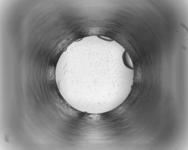 X0000101430478200807281005