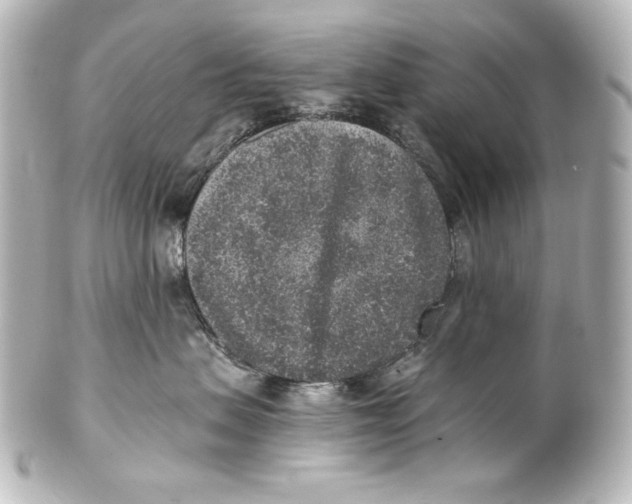 X0000101430479200807281005