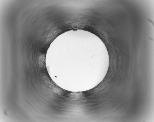 X0000101430480200807281005