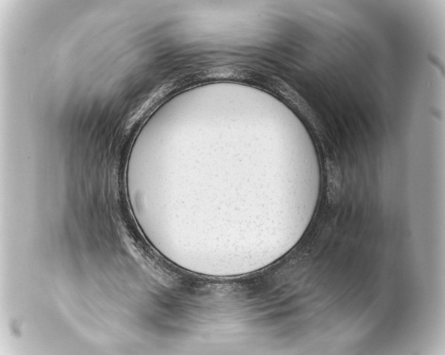 X0000101430482200807281004