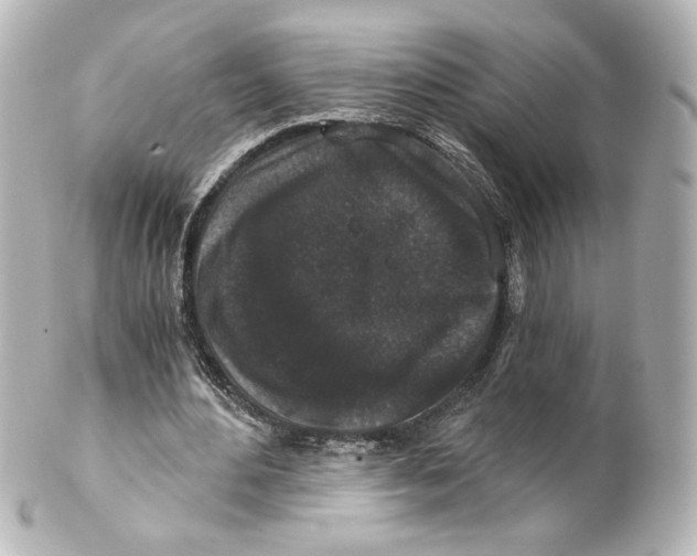 X0000101430484200807281004