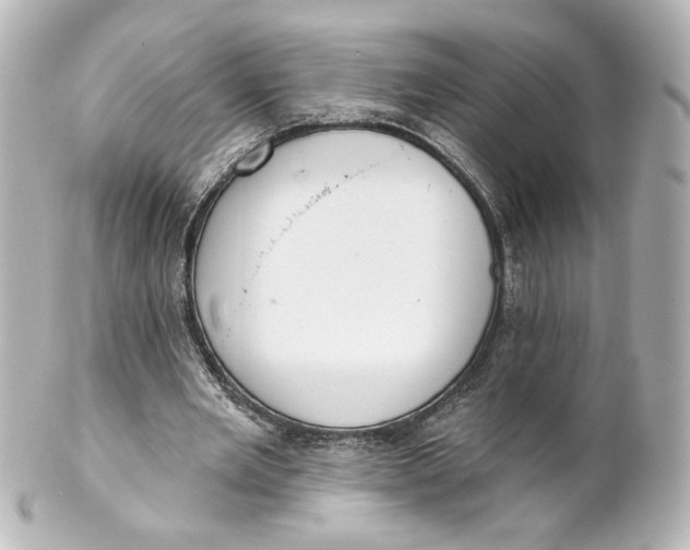 X0000101430485200807281004