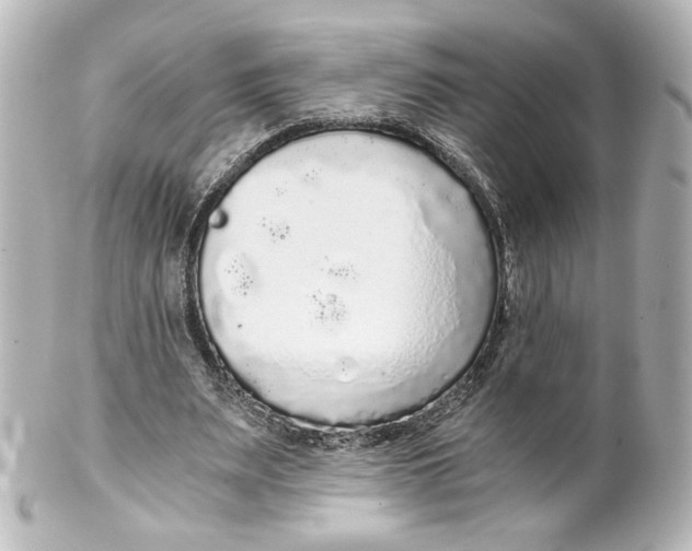 X0000101430487200807281004