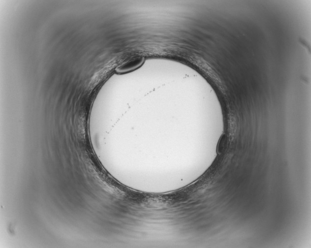 X0000101430489200807281004