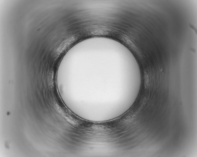 X0000101430490200807281004