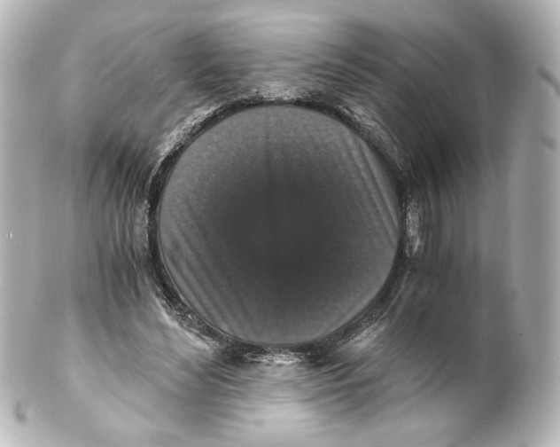 X0000101430492200807281004