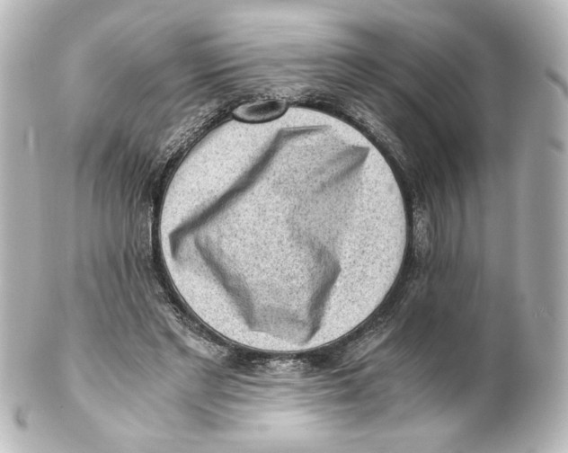 X0000101430493200807281004