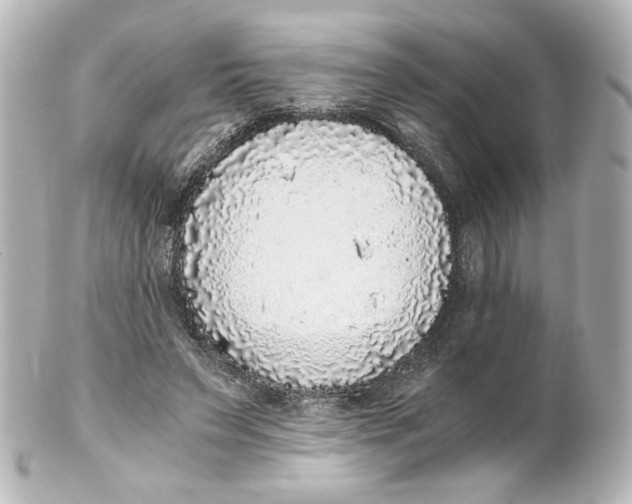 X0000101430495200807281004