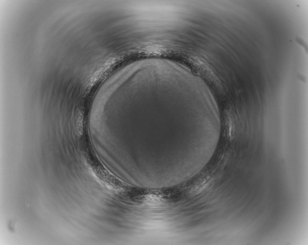 X0000101430496200807281004