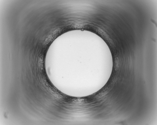 X0000101430497200807281004