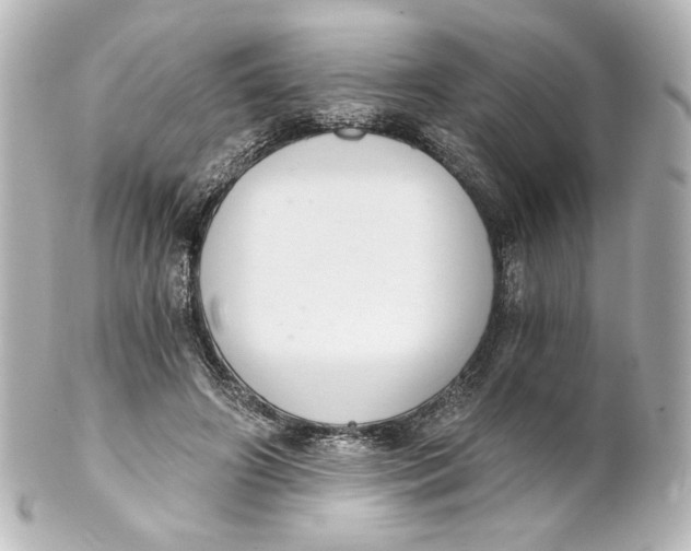 X0000101430498200807281004