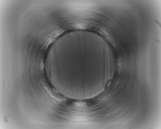 X0000101430500200807281004