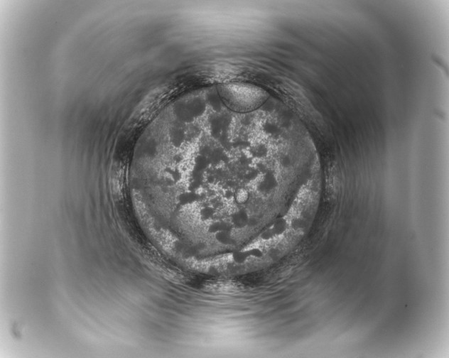 X0000101430503200807281004