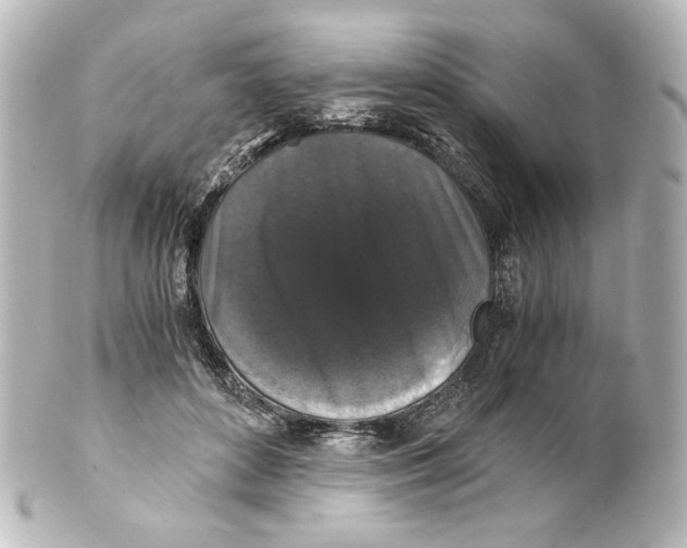 X0000101430504200807281004