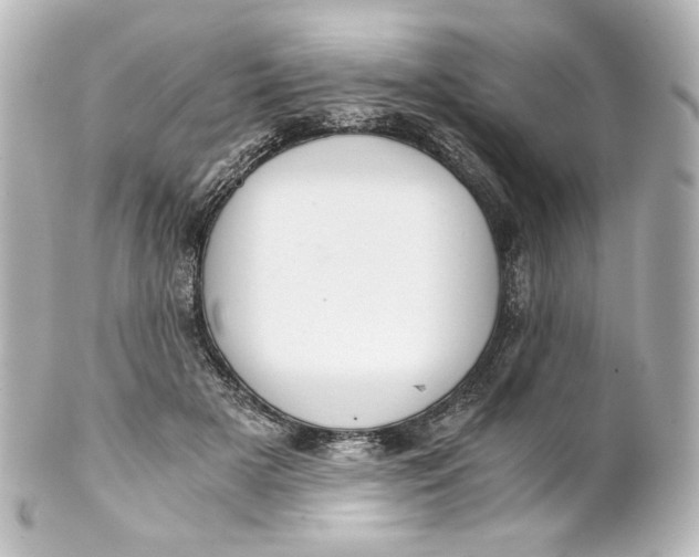 X0000101430505200807281004