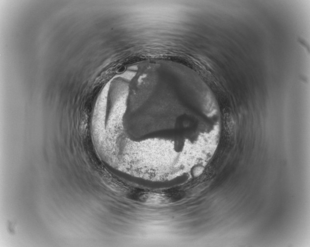 X0000101430507200807281004