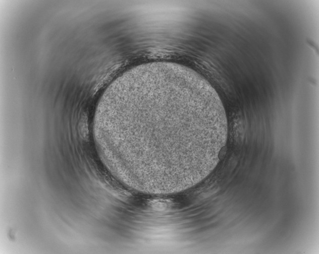 X0000101430508200807281004