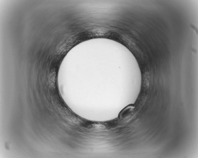 X0000101430509200807281004