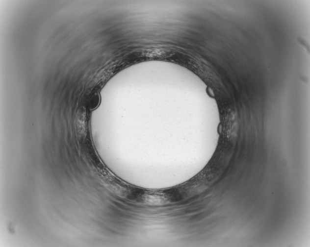 X0000101430510200807281004