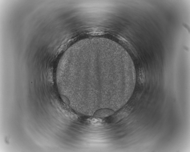 X0000101430512200807281004