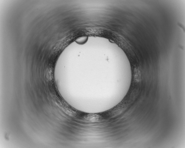 X0000101430514200807281004