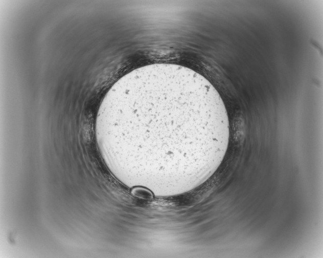 X0000101430515200807281004