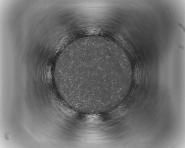 X0000101430516200807281004