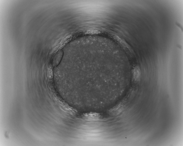 X0000101430517200807281004