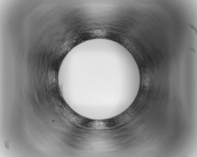 X0000101430518200807281004