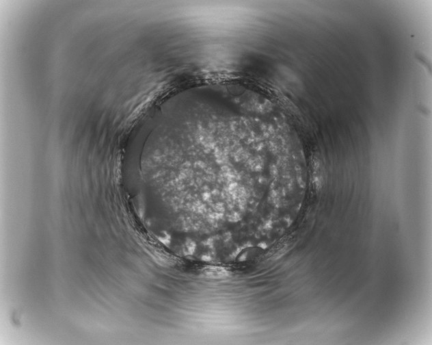 X0000101430519200807281004