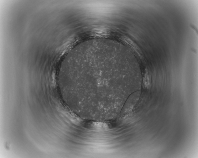 X0000101430520200807281004