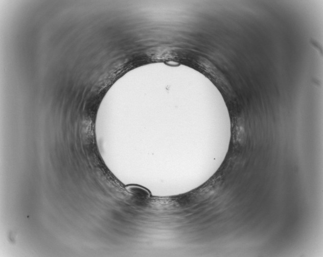 X0000101430521200807281004