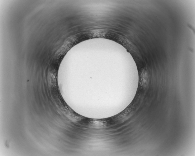 X0000101430522200807281004