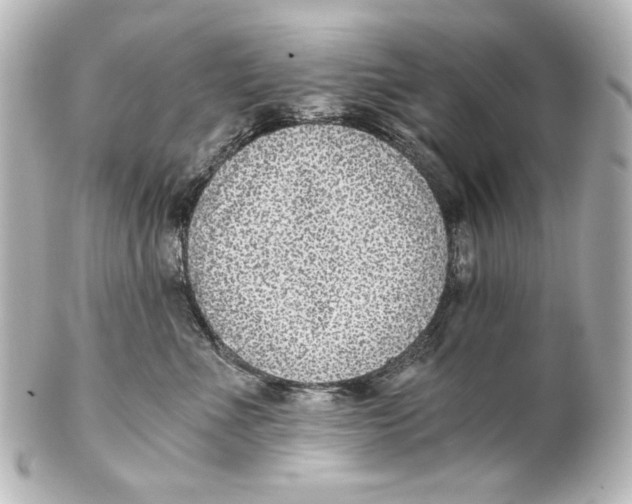 X0000101430523200807281004