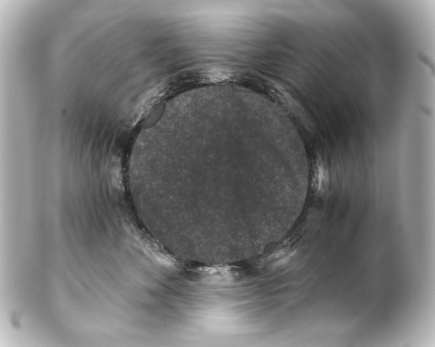 X0000101430524200807281004