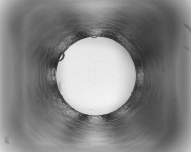 X0000101430525200807281004