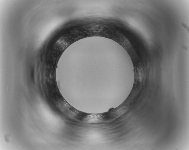 X0000101430526200807281004