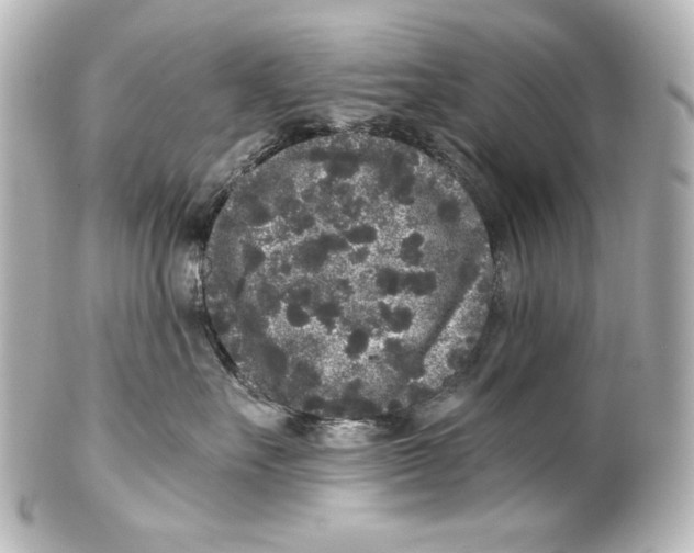 X0000101430527200807281003