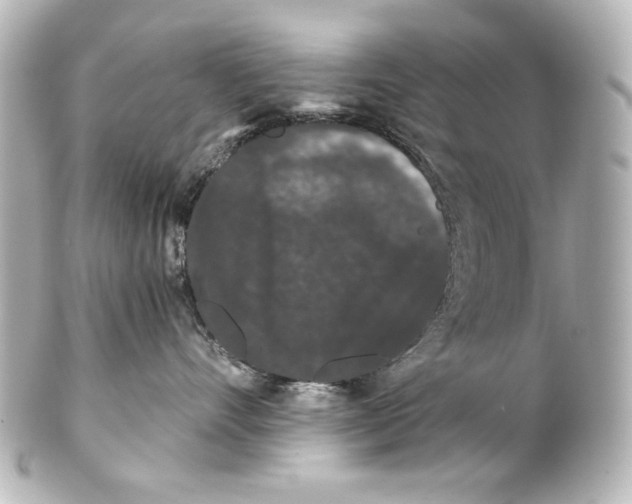 X0000101430528200807281003