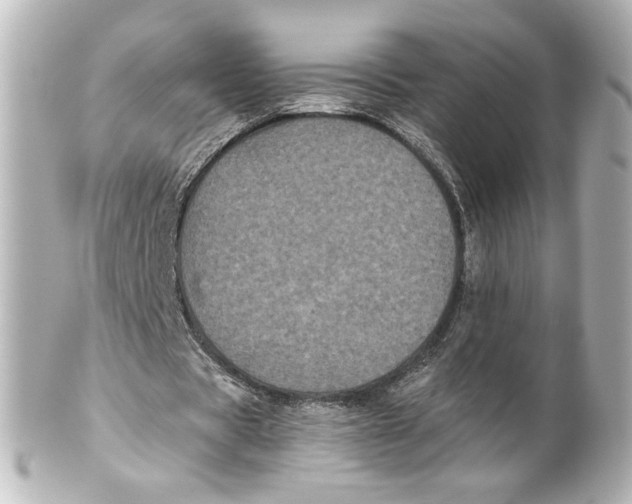 X0000101430529200807281003