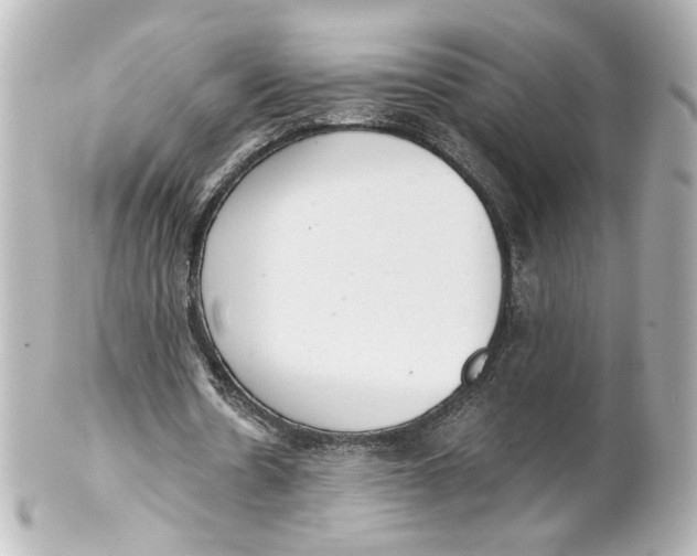 X0000101430530200807281003