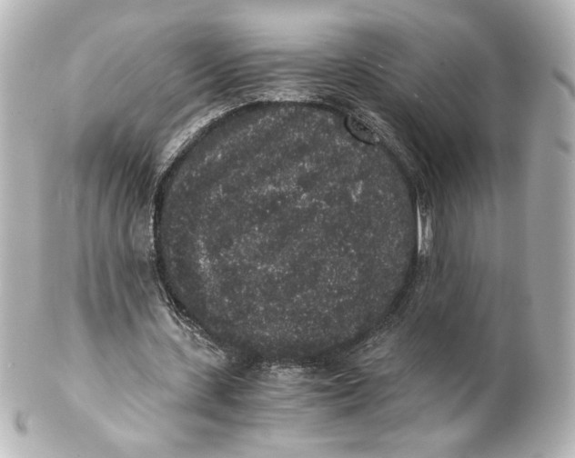 X0000101430531200807281003