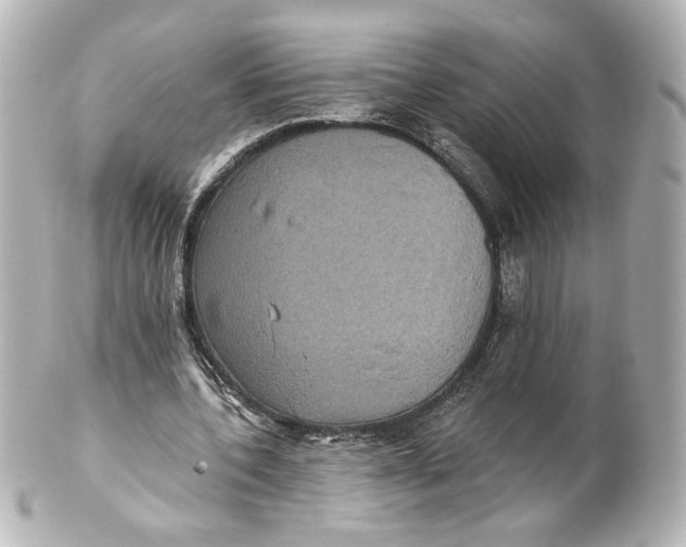 X0000101430532200807281003