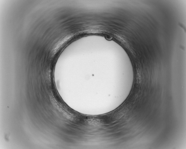 X0000101430535200807281003