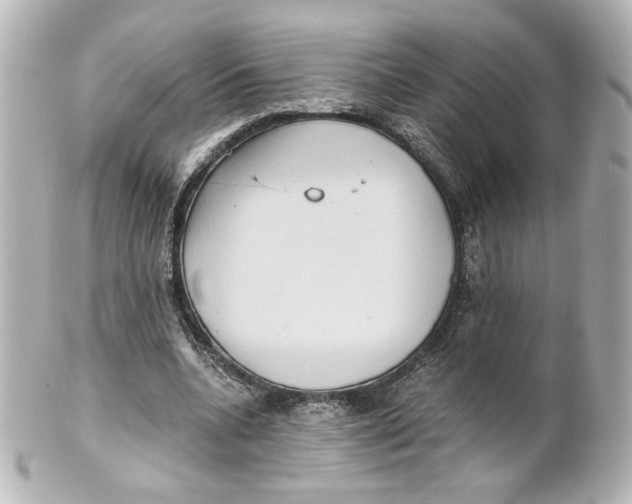 X0000101430536200807281003