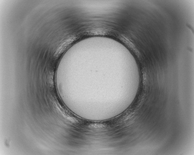 X0000101430537200807281003