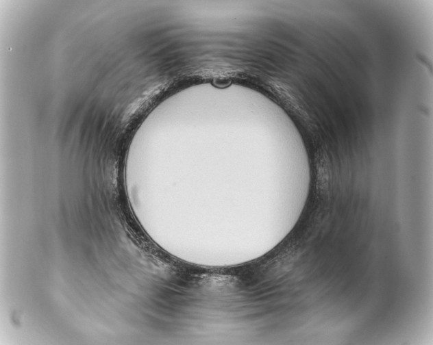 X0000101430539200807281003